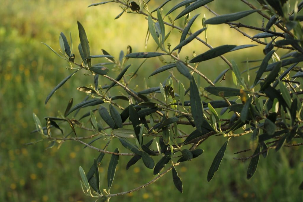 0e6d0a47cd40b9e56b4f2b543543abeebf4499ff