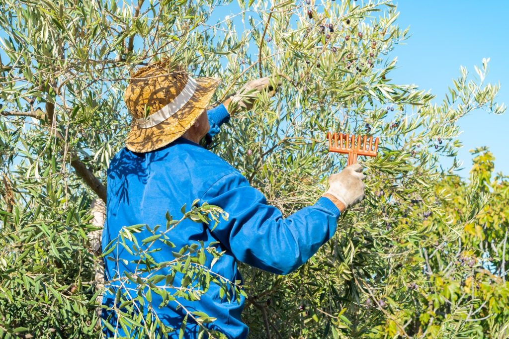 36bfcf841e045a03631b9c5316dada6cbab775a7