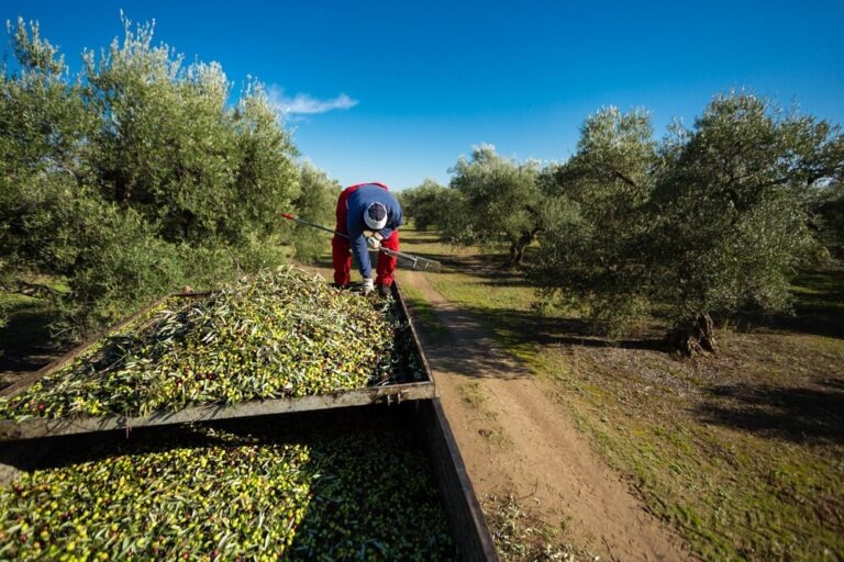 712a3cd1362d5d5a789654f10f96d7669d4ef4da