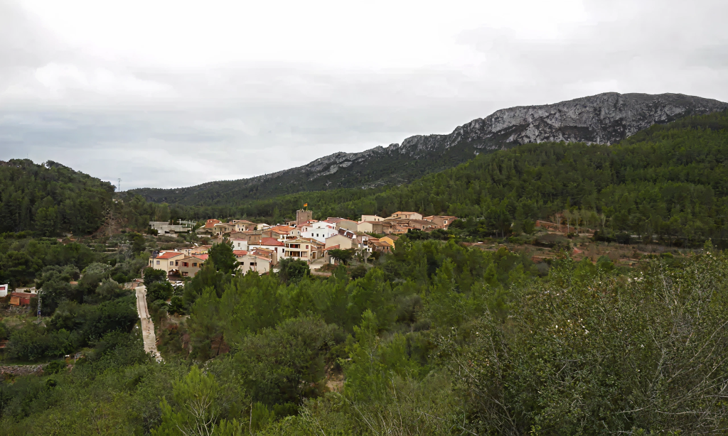 d82826e7aec642fe5d8e62c10998a88fce72d0e4